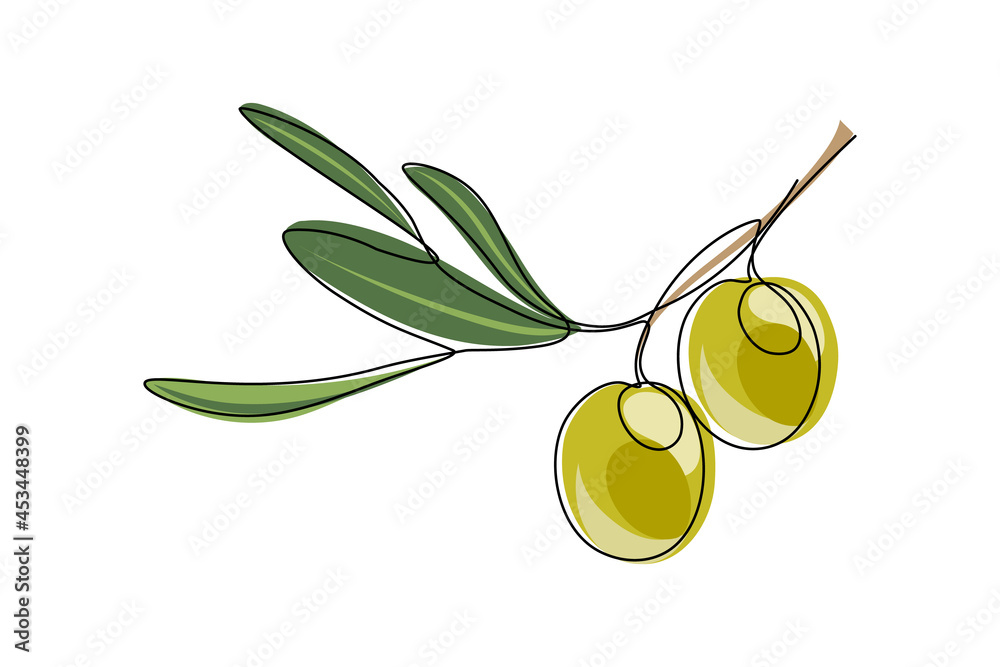 Green olives. Olive branch with fruits and leaves isolated on white ...