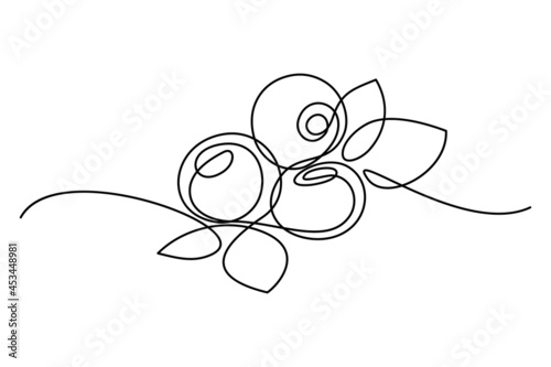 Blueberries in continuous line art drawing style. Group of blueberry fruits and leaves minimalist black linear sketch isolated on white background. Vector illustration