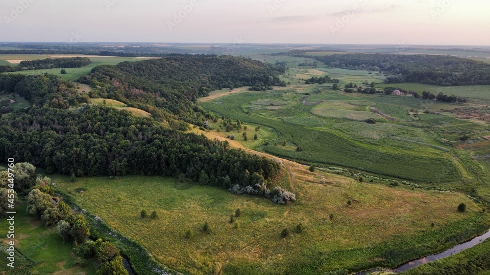 Obraz premium Dawn in the woods near the mountain