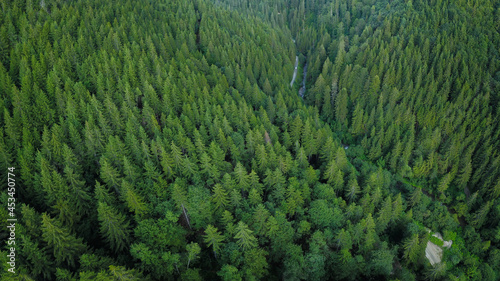 Aerial drone flight above the wild coniferous forests of Cindrel Mountains. Cibin valley and river can also bee seen winding through the woodlands. Cindrel Mountains, Carpathia, Romania.