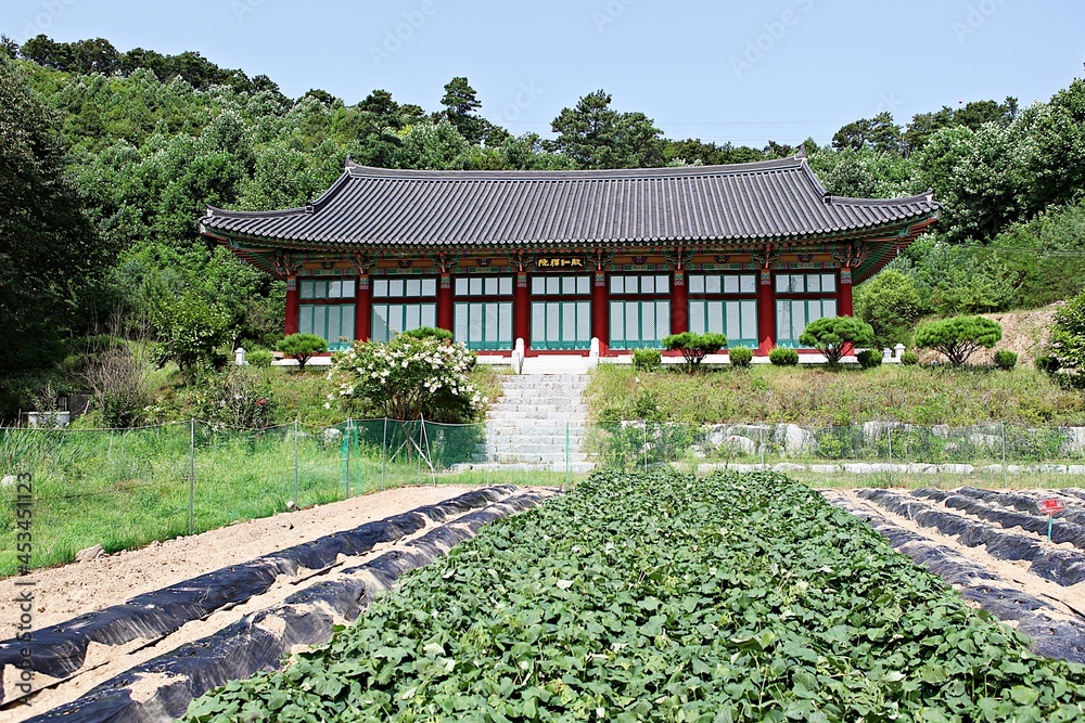 한국의사찰입니다 한국의사찰입니다