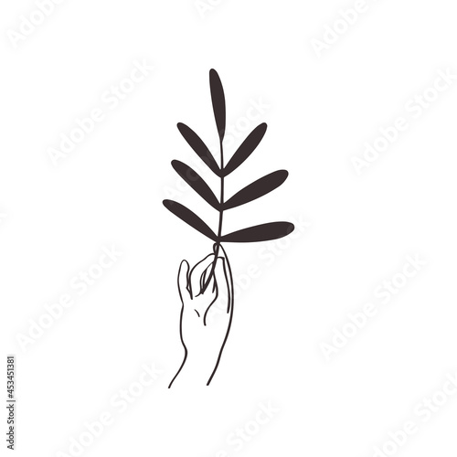 Divine Beauty Premade Logo Design. Black Wrist