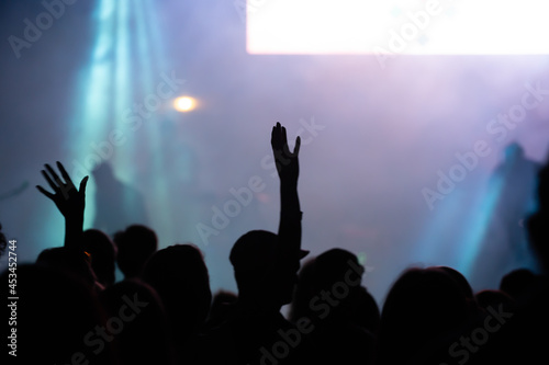 Crowd at concert - summer music festival