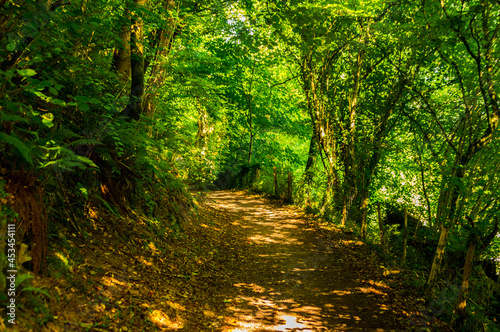 Ruta del agua de Santesteban, Navarra