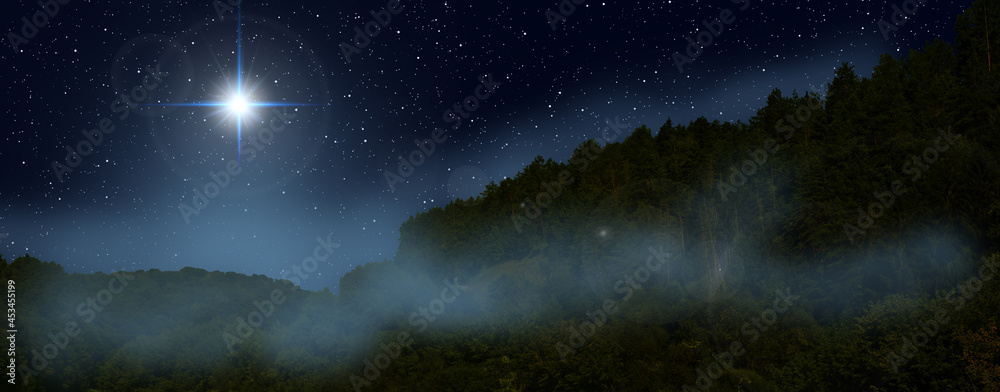 Fog is rising over the night forest. A bright star indicates the Nativity of Jesus Christ in the starry sky.