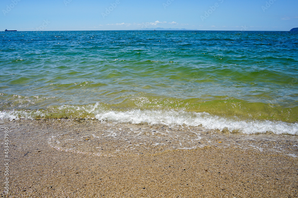 海 海