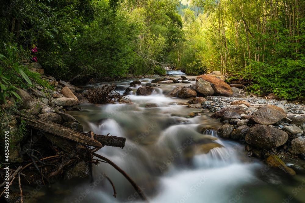 river in the forest river in the forest