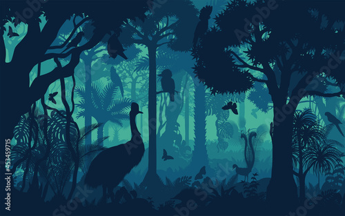 Vector evening tropical rainforest Jungle background with lyreburd, cockatoo, bat, parrot, Echidna, kookaburra, iguana and cassowary