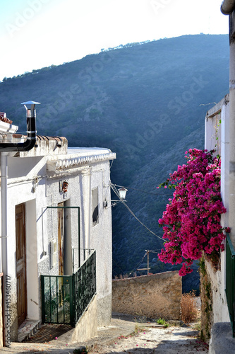 Lujar street with white houses and pink bougainvilleas photo