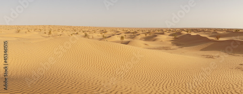 Fototapeta Naklejka Na Ścianę i Meble -  Desert landscape with dunes in the Sahara Desert near Douz, Tunisia.