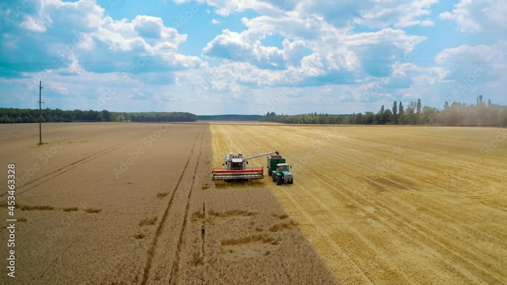 Agriculture machinery working on field. Combine harvester pouring dry seeds into tractor trailer. Yellow field under blue sky at harvest season. Panoramic view. Agriculture machinery working on field. Combine harvester pouring dry seeds into tractor trailer. Yellow field under blue sky at harvest season. Panoramic view.