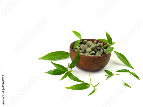 Herbs Andrographis paniculata green leaves and pills in wooden cup, isolated on white background