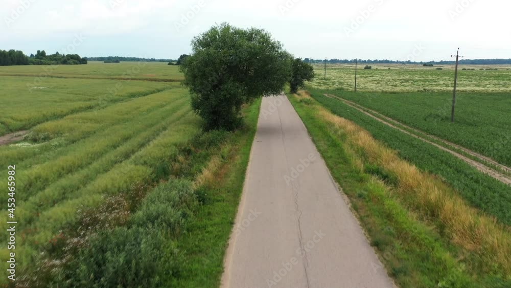 Asphalt road through green summer field. Aerial view from drone Asphalt road through green summer field. Aerial view from drone