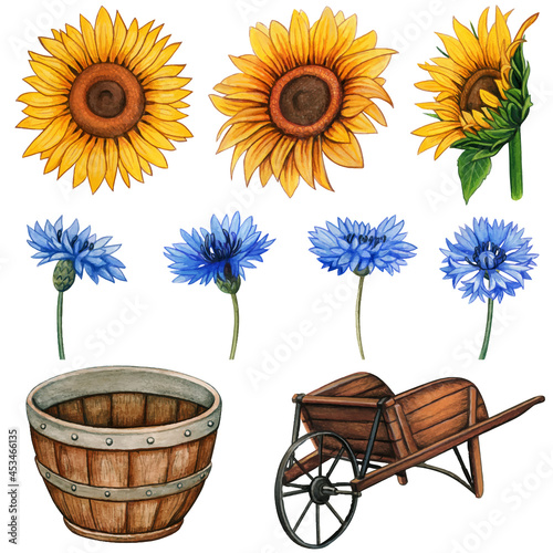 Watercolor country flowers and wooden rustic elements