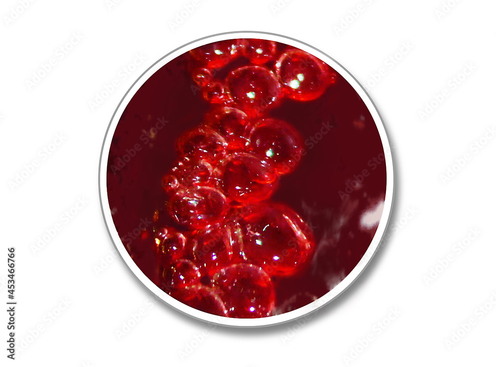 An illustration of a round die cut sticker mock up. The sticker has an image of red bubbles in liquid.