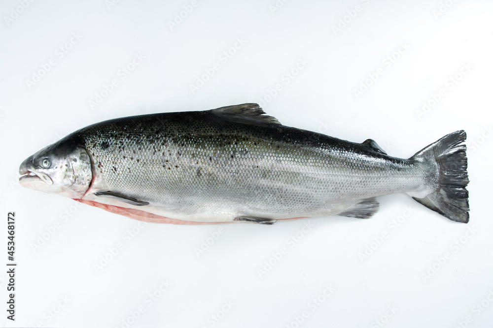 Obraz premium Salmon imported from Norway on a white background