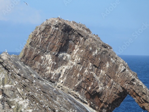 Bo Fiddle Rock Scotland