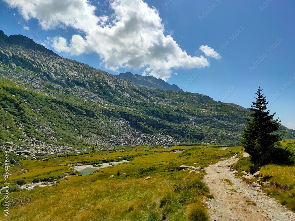 mountain landscape in the mountains. Top Prudenzini. Saviore dell'Adamello