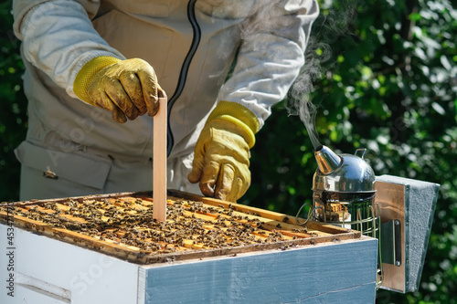 Varroa mite control. Varroa destructor. How to treat bees from varroa mite. The beekeeper treats the bees of the varroa mite. Diseases of bees and their treatment. Varroasis. photo