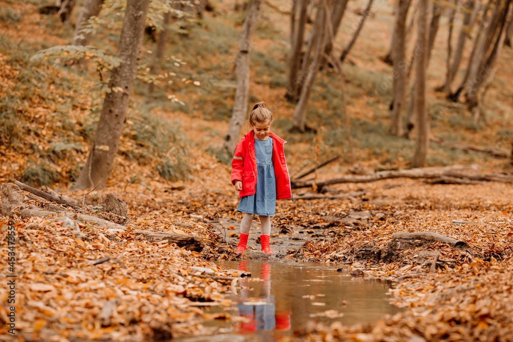 a little girl in a coat and red rubber boots walking in the autumn forest. High quality photo