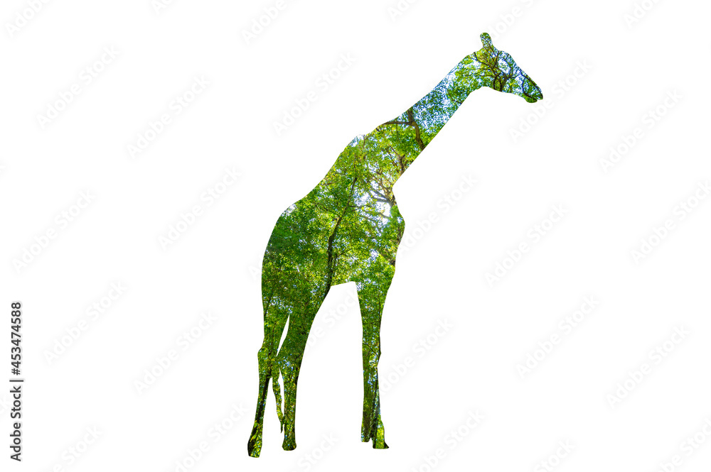 Obraz premium World Wildlife Day forest silhouette in the shape of a wild animal wildlife and forest conservation concept