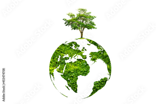 Fototapeta Naklejka Na Ścianę i Meble -  earth day tree on green earth on white isolate background