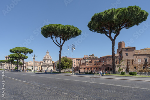 Photography Imperial Forum and ancient pine trees view from Via dei Fori Imperiali, Rome, It