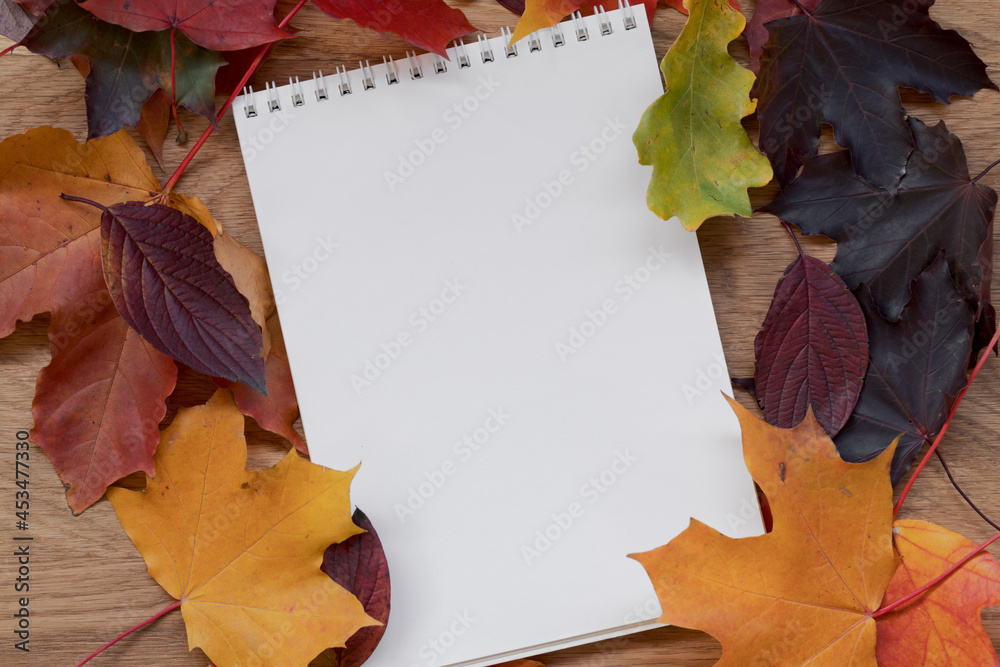 Autumn theme background with leaves over oak wood table with notepad