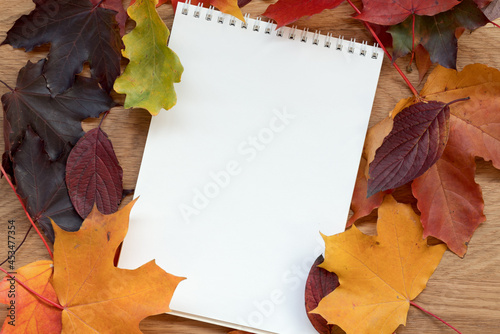 Autumn theme background with leaves over oak wood table with notepad