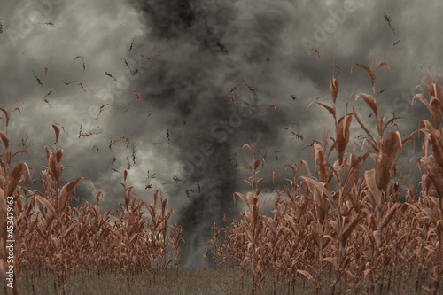 Schilderij op canvas 3d Rendering of withered cornfield in front of dramatic sky and tornado