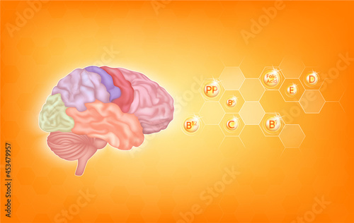 Vitamins for brain. Essential nutrients for brain health main human organs with molecular. Vitamin C, B, PP, folic acid, That helps treat symptoms alzheimer's, dementia and depression. 3D vector EPS10