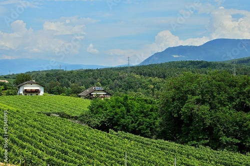 Italy-view of the mountains from Eppan