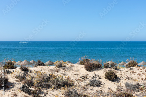 Beach and sea in summer, Praia do Garrão, Almancil, Algarve