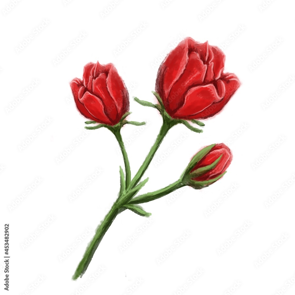 bouquet of red roses in watercolour style bouquet of red roses in watercolour style