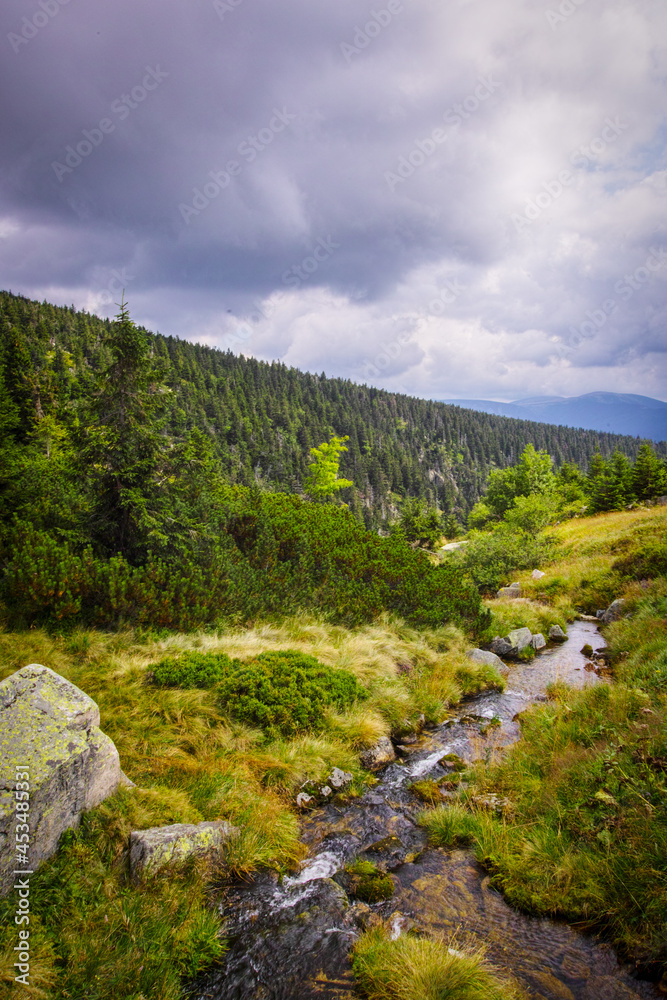 Riverhead of Elbe river in Giant mountains and coats of arms of towns along this river, national park Krkonose in the Czech Republic Riverhead of Elbe river in Giant mountains and coats of arms of towns along this river, national park Krkonose in the Czech Republic