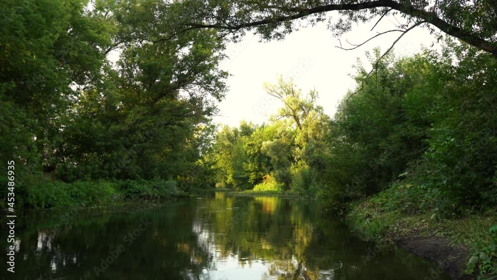 a running river surrounded by trees on both sides a running river surrounded by trees on both sides