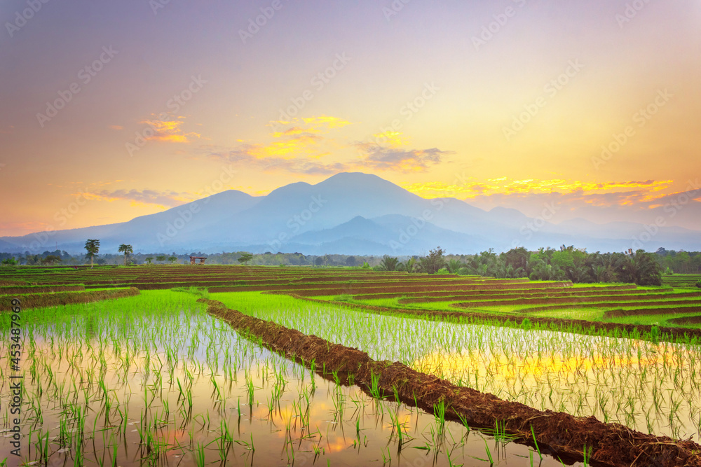 beauty panorama morning view with beautiful rice fields reflecting the sky and the morning sun between the mountains