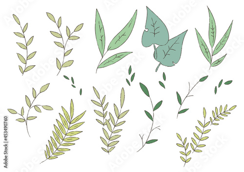 Plant branches and leaves for posters  posters  postcards  banners and more.