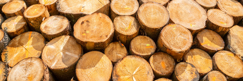 Bilde på lerret Storage place for wood logs
