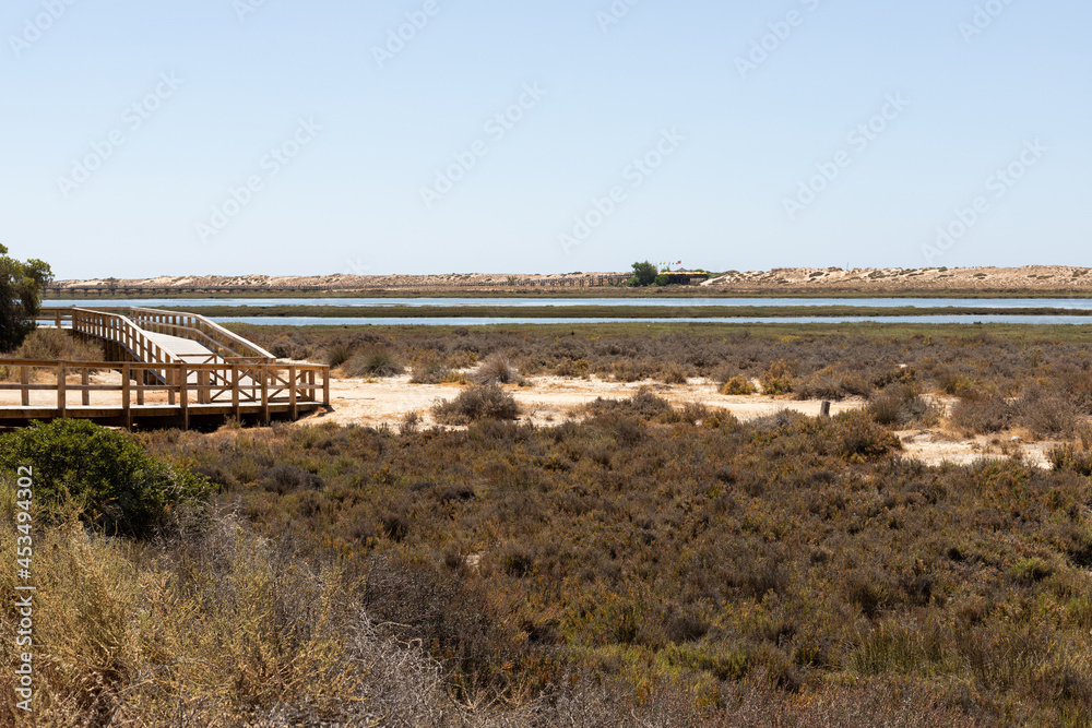 Wooden walkway in Ria Formosa lagoon, Algarve Wooden walkway in Ria Formosa lagoon, Algarve