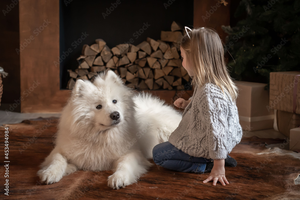  Girl and samoyed husky dog. Home