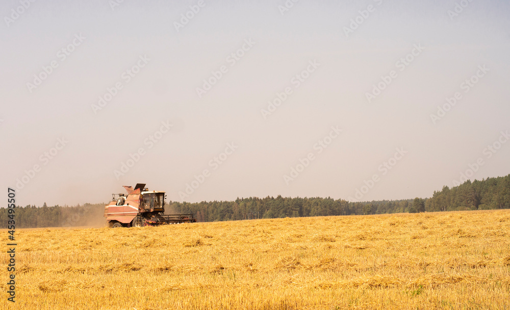 grain harvester  in field, agriculture work in filed, nature background