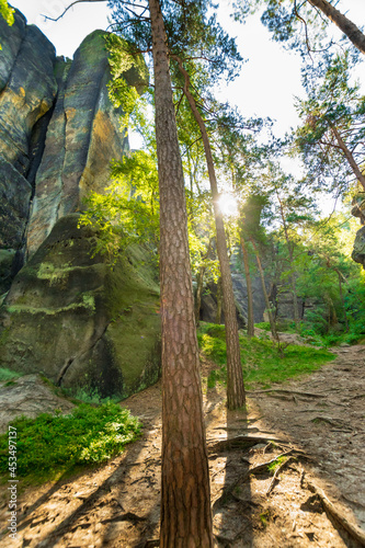 rock formations next to to a hiking path  Saxon Switzerland 