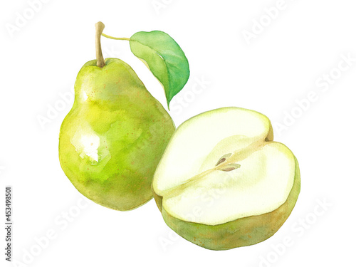 秋のフルーツ：2種の西洋梨の水彩イラスト。葉つき。