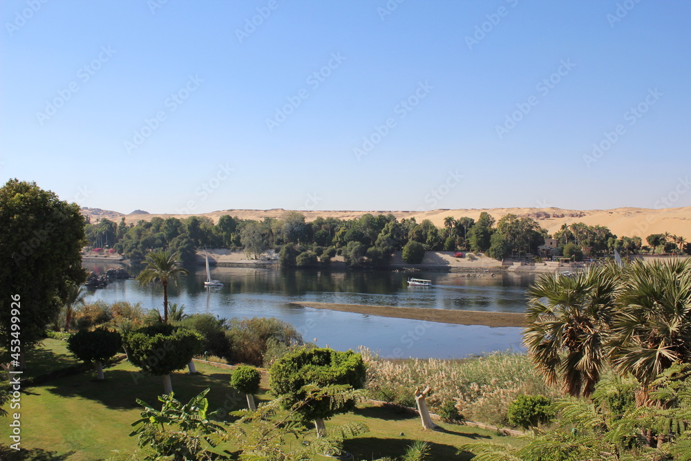 The beautiful nature mix of sandy hills and plants and river in Aswan in Egypt