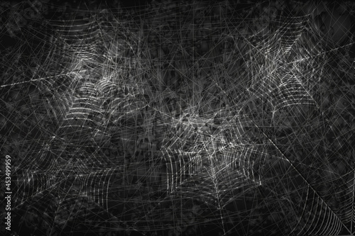 Dark vector background with spider web.