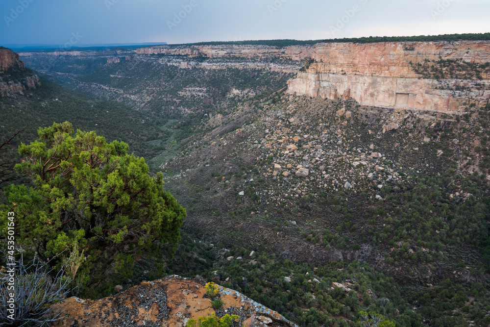 Navajo Canyon overlook in the Mesa Verde National Park, Colorado