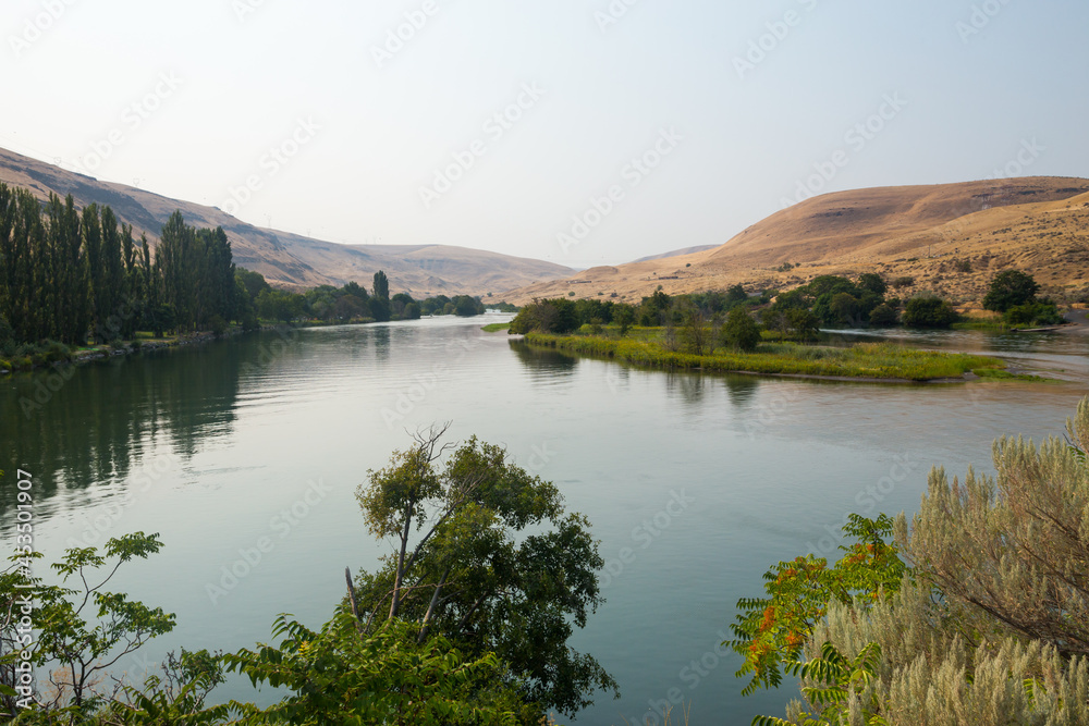 Deschutes River in Oregon. Plants reflect in a calm water