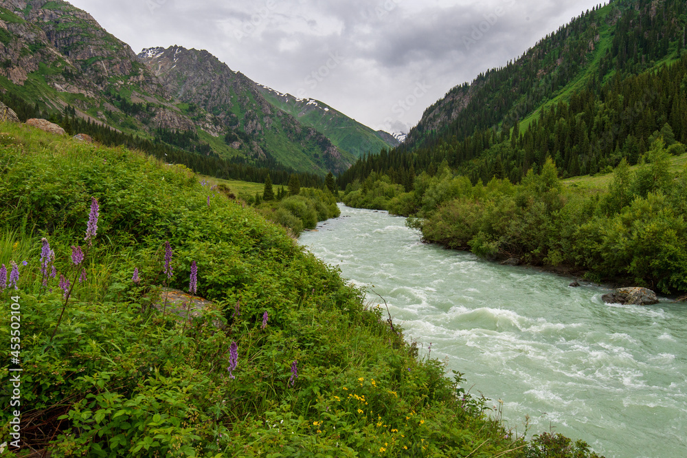 mountain river in the mountains