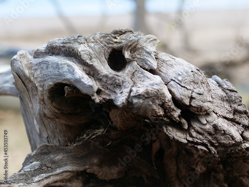 bois sec sculpté en gekko